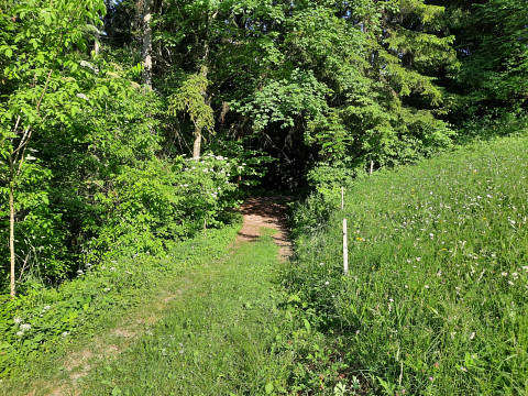 Wanderbares Mostviertel Teil 2 