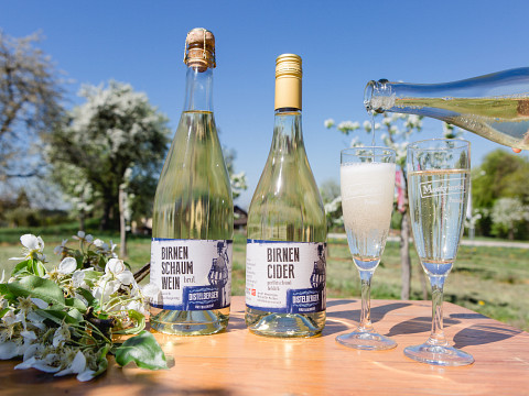 Frizzante, Cider, Sekt Was ist da der Unterschied Wir klären auf