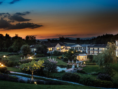 Gebeizten Lachs selber machen