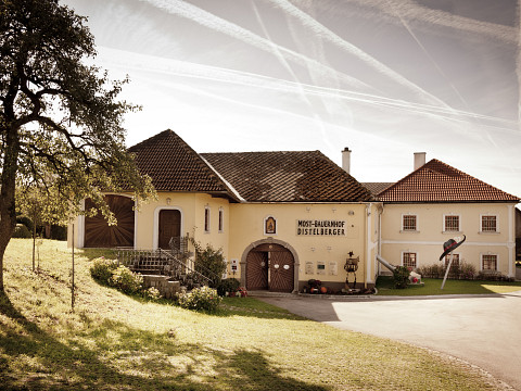 Birnen-Lavendel-Creme