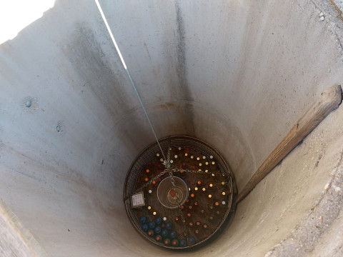 Wandern zum Mostbrunnen im Mostviertel