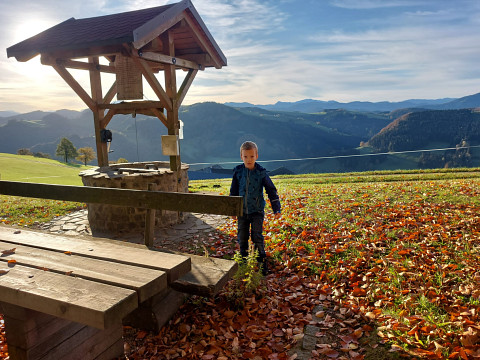 Wandern zum Mostbrunnen im Mostviertel