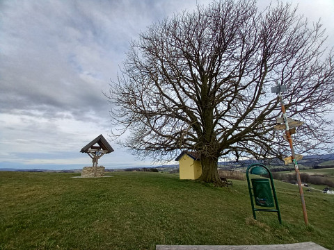 Mostbrunnen beim Wurzenberger für Wanderer und Radfahrer