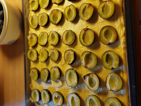 Zwetschken Kuchen