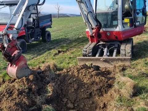 Wie setzt man Richtig einen Baum? Baumpflanzzeit beim Mostbaron