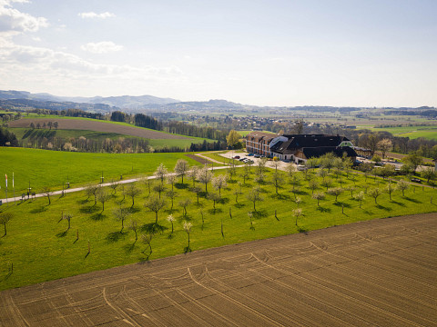 Kräuterwanderung in den Streuobstwiesen der Mostbarone