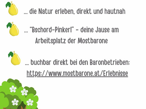 Mostbaronjause in der Streuobstwiese