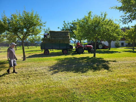 Heuernte in der Streuobstwiese: Ein Gewinn für Natur und Obs...