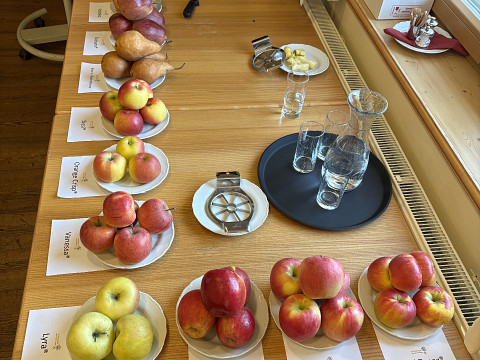 Neuer Primus des Mostbarone - Bernhard Datzberger / Seppelbauer