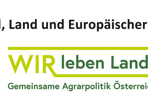 Neuer Primus des Mostbarone - Bernhard Datzberger / Seppelbauer