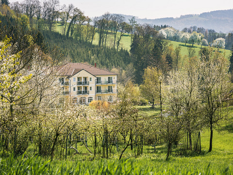 Bio bei den Mostbaronen