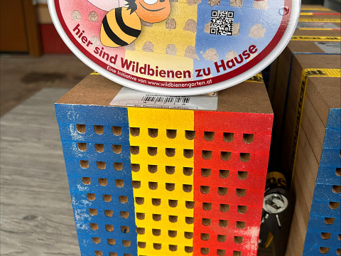 Wildbienen auswintern: Der Start in eine neue Bestäubungssaison