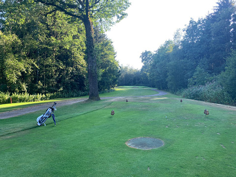 Golfspielen beim Mostbaron