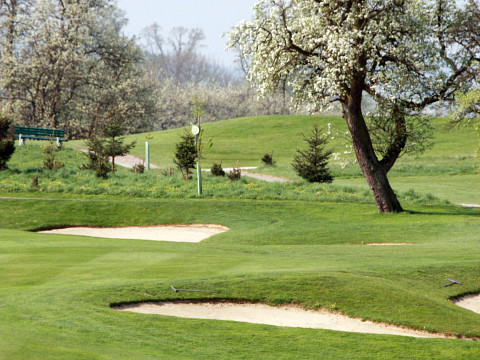 Golfspielen beim Mostbaron