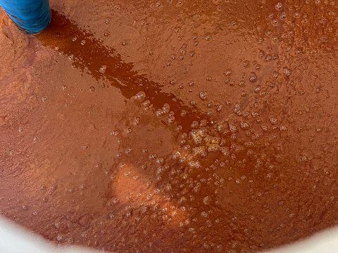 'Einmaischen' beim Mostbaron