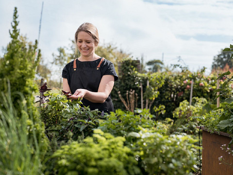 Erlebnisse beim Mostbaron rund um die Landesausstellung 2026