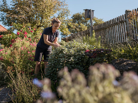 Erlebnisse beim Mostbaron rund um die Landesausstellung 2026