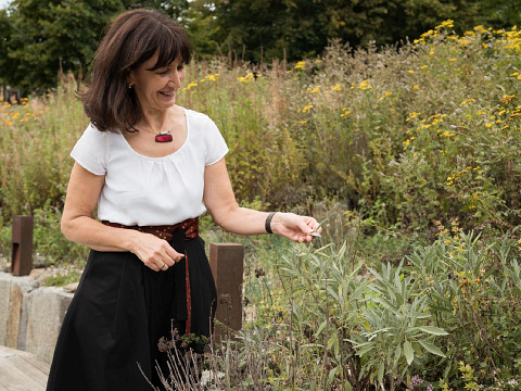Erlebnisse beim Mostbaron rund um die Landesausstellung 2026