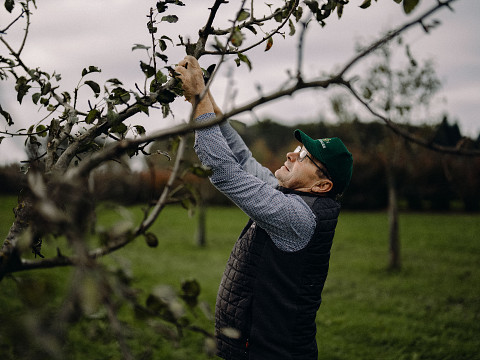 Erlebnisse beim Mostbaron rund um die Landesausstellung 2026