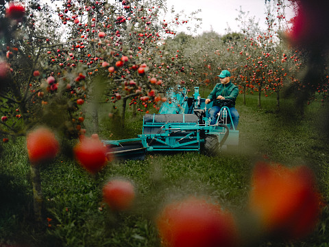 Erlebnisse beim Mostbaron rund um die Landesausstellung 2026