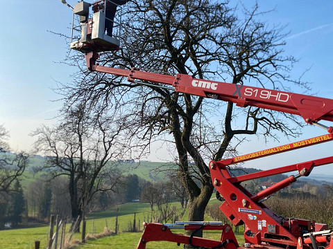 Birnbaumkultur im Mostviertel – Vielfalt, die wächst