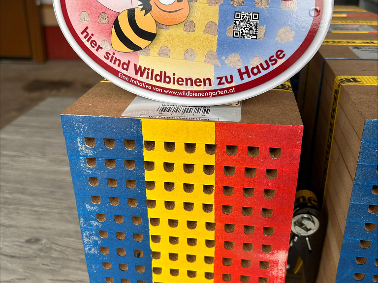 Wildbienen auswintern: Der Start in eine neue Bestäubungssaison